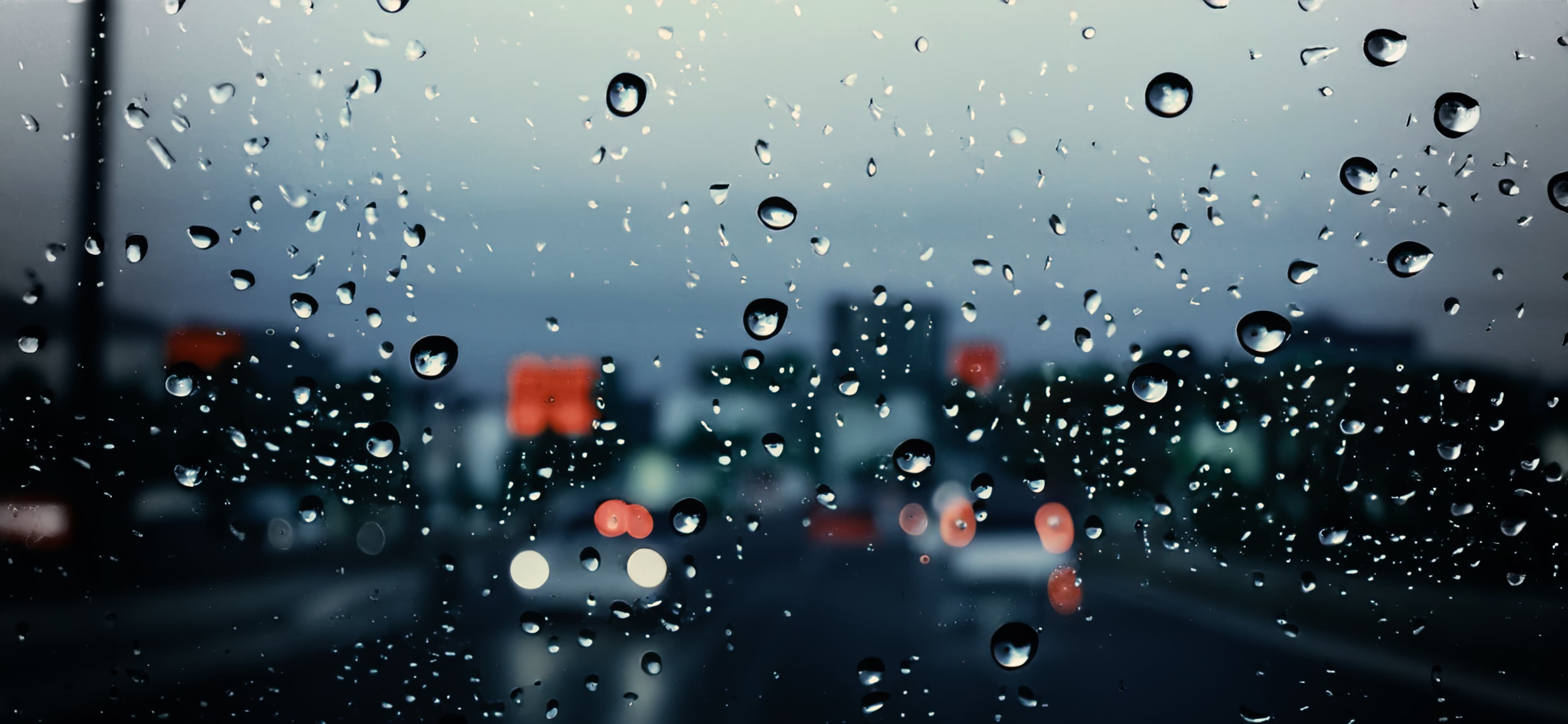 OptikBernardi_Artikel_Sehen in der Nacht.jpg